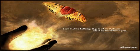 Broken Butterfly Quotes Quotesgram