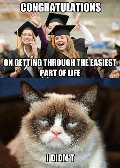 Funny congratulations sms is very ordinary. graduation memes #abschluss #abschlussfeier Grumpy cat ...