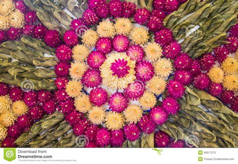 White And Pink Globe Amaranth Decoration Stock Image Image Of Flower