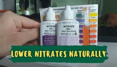 How To Lower Aquarium Nitrates With Denitrifying Bacteria Rooted Tank