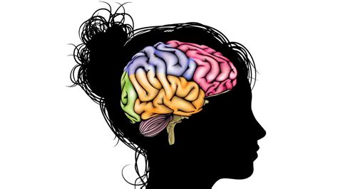 O Incrível Potencial De Aprendizado Do Cérebro Adolescente Conectomus