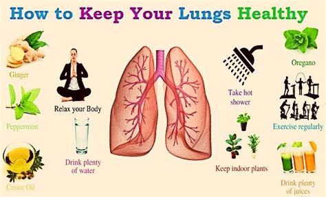Adopting a certain healthy lifestyle can help maintain the ...