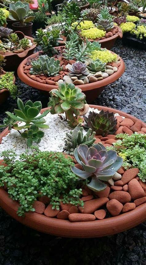 20 Easy And Cheap Ways To Make Succulent Garden In Your Backyard