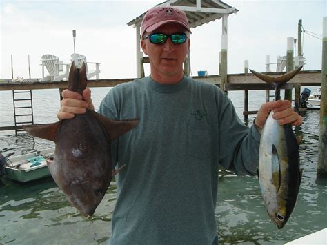 2006 Abaco Triggerfish And Black Fin Tuna Caught Offshore Flickr