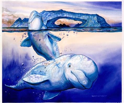 Curious Beluga Whales By Robert Lyn Nelson Born 1955 22x28 Watercolor