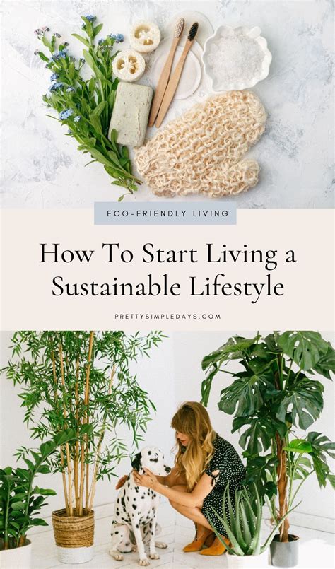 Sustainable Living For Beginners Artofit