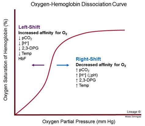 Oxygen Hemoglobin Dissociation Curve Respiratory Medbullets Step 1