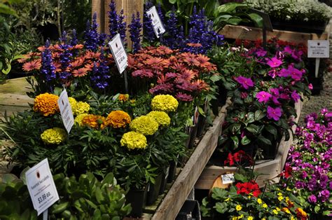 A total of 132 nurseries were identified in the districts out of which 20 were selected using a table of random digits. Plant Nursery & Garden Center | Arlington, WA - Fruitful ...