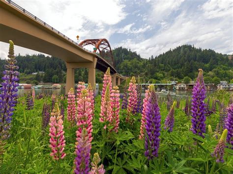 Best Garden Plants For Pacific Northwest Gardens