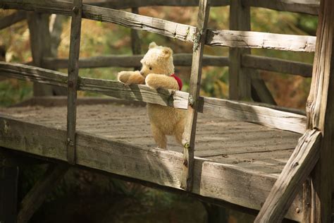Life Lessons From Winnie The Pooh Christopher Robin
