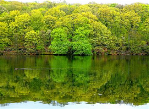 A background image can be specified for almost any html element. Free Lake Wallpaper Backgrounds - WallpaperSafari