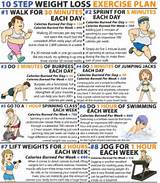 Pictures of Exercise Program Weights