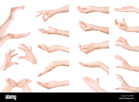 Hands Gestures Collection Set Of Woman Hands Showing Holding And