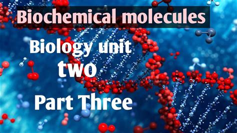 Biology Chapter Two Biochemical Molecules Remedial Class Part Three