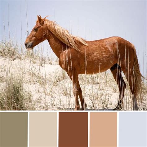 Western Neutral Colors Western Color Palette Western Paint Colors