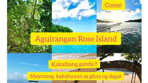 Aguirangan Rose Island Soo Beautiful Discover A Forest At The Midst