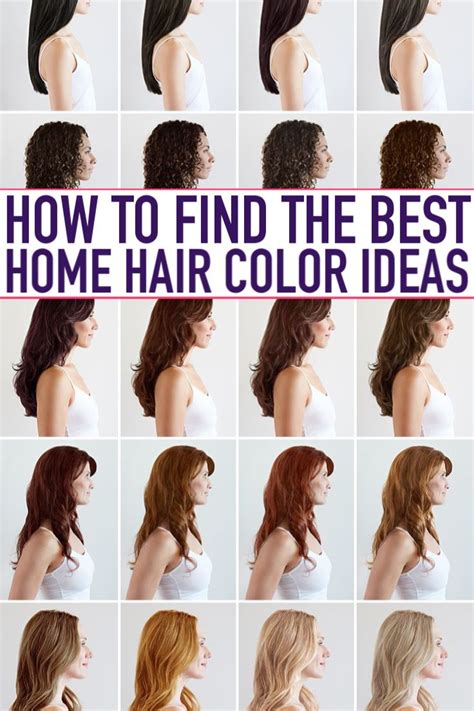 The Best At Home Hair Color Box Hair Dye At Home Hair Color Best