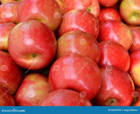 Gala Apples Stock Photo Image Of Fruit Market Peel 26627694