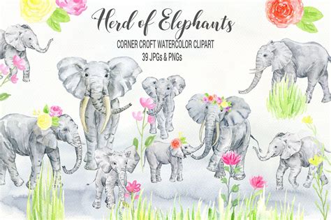 Elephant Clipart Watercolor Elephants Herds Of Elephants Elephant