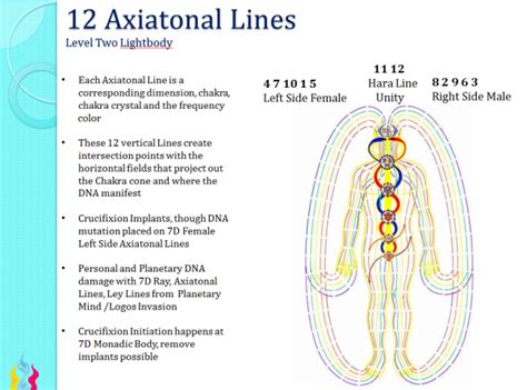 Axiatonal Lines Ascension Glossary
