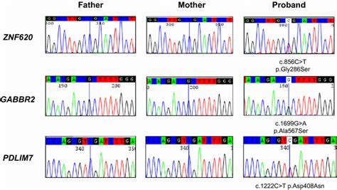 Sanger Sequencing Validation Of The De Novo Variants Identified By Download Scientific Diagram