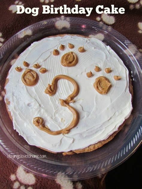 A carrot cake to celebrate your favorite pup, this easy cake combines shredded carrots with peanut butter, oil, vanilla, optional honey, and wheat or awesome recipe!!! Puppy Approved Homemade Dog Cake Recipe You Must Make - Close To Home