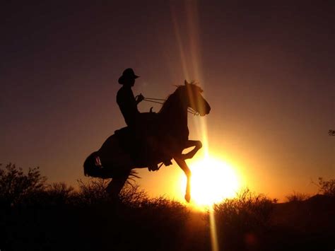 Silhouette Of Man Riding Horse Sunset Cowboys Horse Silhouette Hd