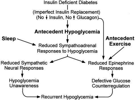 Exercise Induced Hypoglycemia Type 1 Diabetes