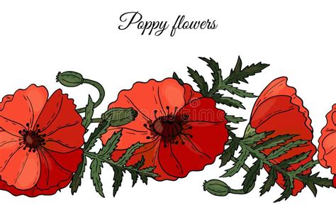 Vector Horizontal Seamless Border With Red Poppies Stock Vector