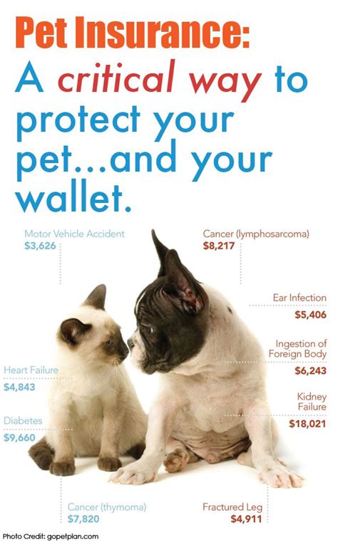 All are subsidiaries of nationwide mutual insurance company. Veterinary pet insurance - insurance