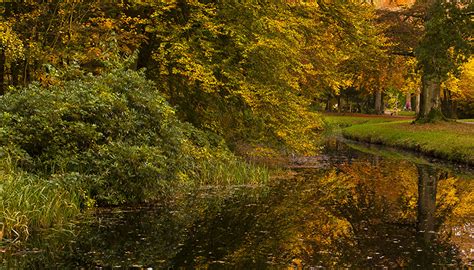 Picture Utrecht Netherlands Baarn Autumn Nature Park River