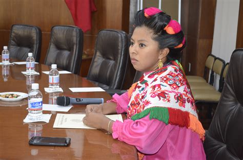 “voten Por La Dignidad” Pide A Diputados Indígena Postulada Para Presidir Cedh Astrolabio