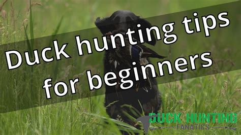 Duck Hunting Tips For Beginners Youtube