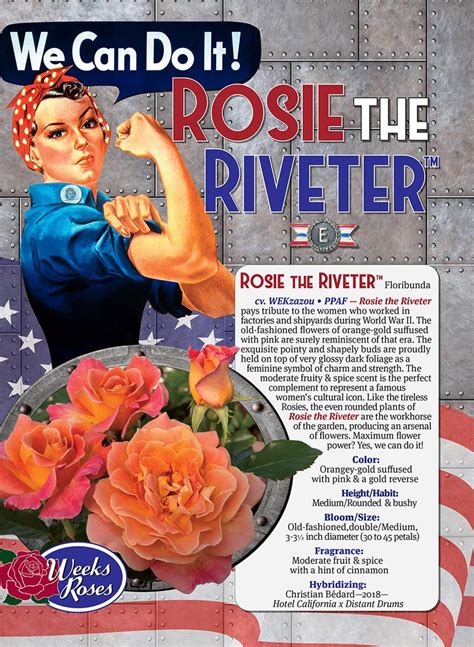Rosie The Riveter™ New For 2018 Pottedbareroot Garden Valley Ranch
