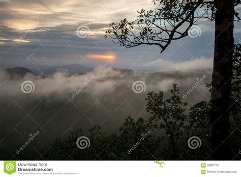 Sunset With Fogs Clouds And A Tree Stock Photo Image Of Nature