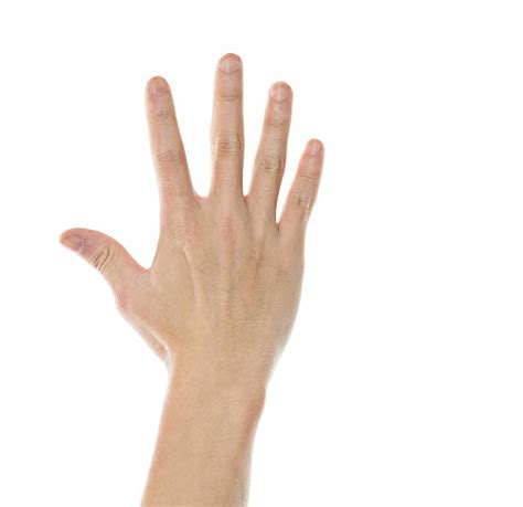 Back Of Hand Pictures Images And Stock Photos Istock