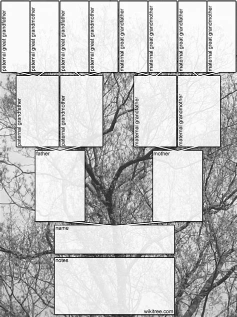 Blank Tree Diagram Template 1 Professional Templates Professional
