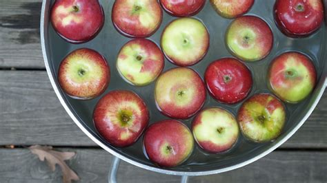 The History Of Bobbing For Apples Mental Floss