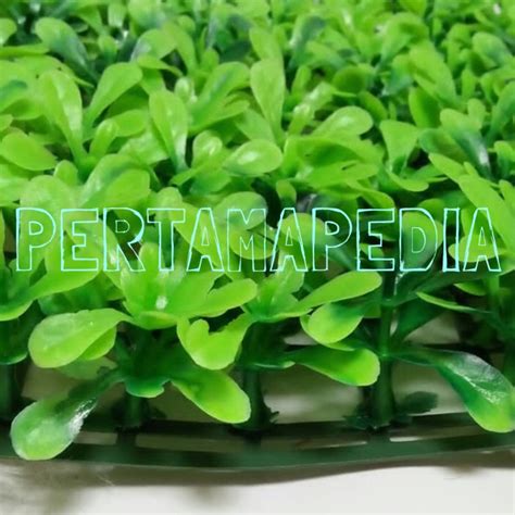 Awan padang rumput foto gratis di langit biru awan putih dan padang rumput hijau tanah rumput rumput pokok pokok gambar latar belakang untuk muat turun gambar hiasan dinding happy anniversary. Jual Rumput Hiasan Dinding/Tembok/Pohon Hias untuk Toko ...