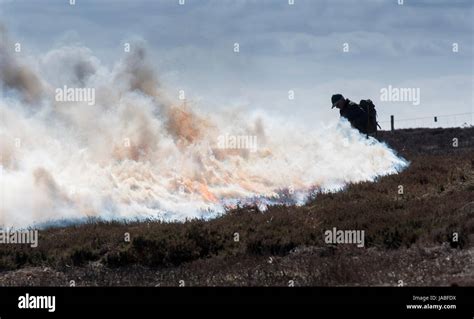 Heather Burning On A Grouse Moor In The Yorkshire Dales Uk Stock Photo