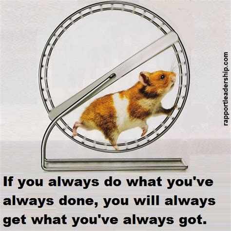 A Hamster In A Wheel With The Words If You Always Do What Youve Always