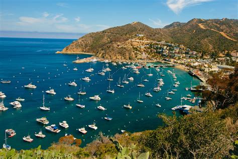 What To Do And Eat And Where To Stay On Catalina Island