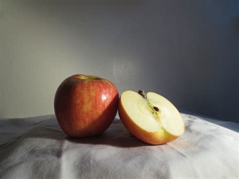 Oil Painting Exercise Two Apple Beginners School