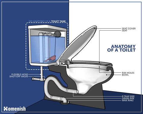 Anatomy Of A Toilet Explained Parts Of A Toilet Atelier Yuwa Ciao Jp
