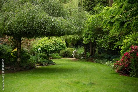 View Of Lush Green Garden With Willow Tree Green Lawn No Sky And No