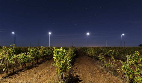 Reduce Light Pollution With Led Street Lighting Arquiled