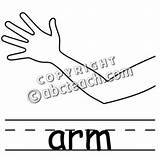 Clipart Parts Clip Arm Arms Body Part Webstockreview Panda Clipground sketch template