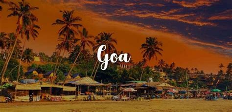 Discover The Magic Best Things To Do In Goa Tweetonworld
