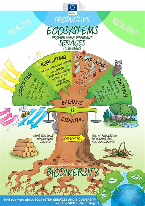 European Commission Science For Environment Policy Multimedia