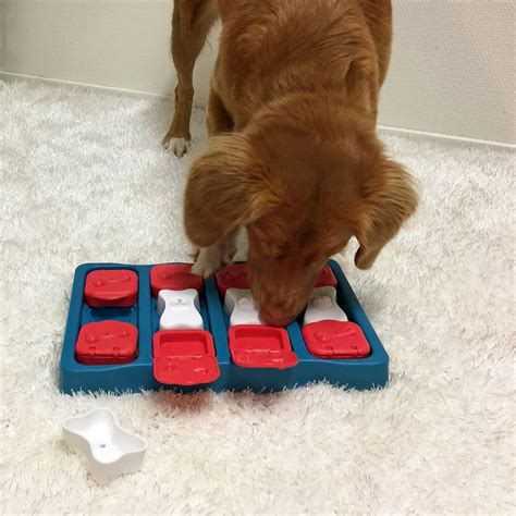 Dog Brick Nina Ottosson Treat Puzzle Games For Dogs And Cats